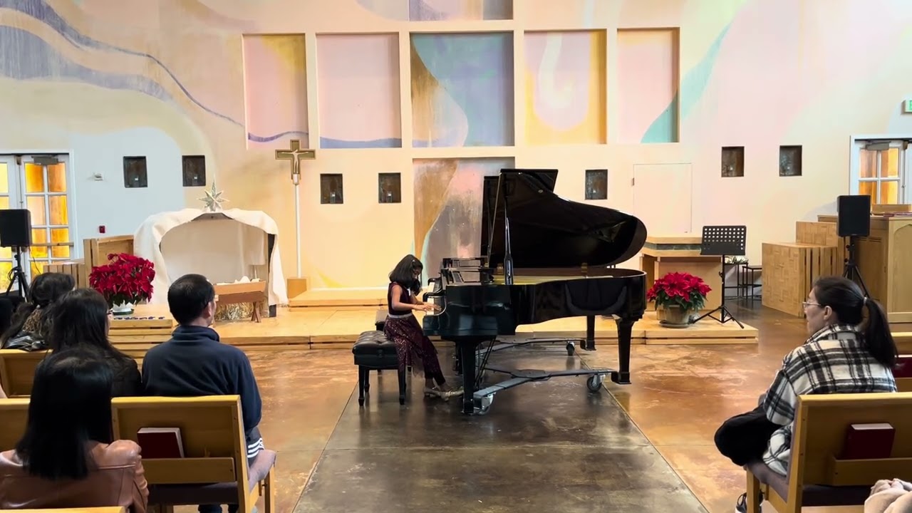 2024 CAPMT Festival - Snowflake Falling 