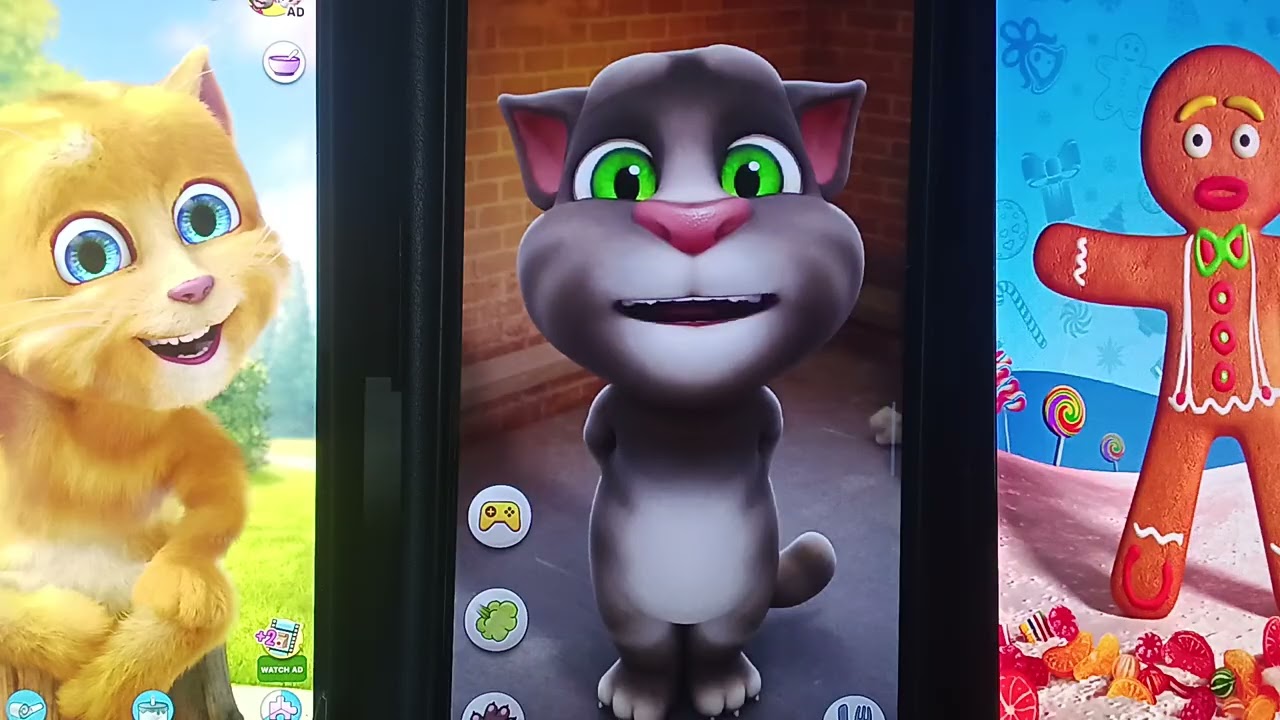 Talking Ginger 2 VS Talking Tom VS Talking Gingerbread Man Echo