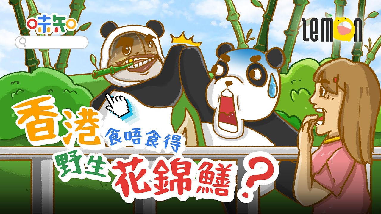 香港食唔食得野生花錦鱔﹖Can we eat Wild Giant mottled eel?