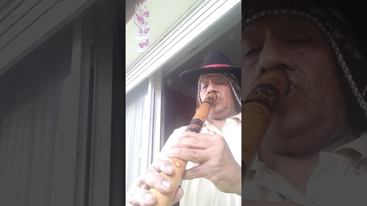 Moxe&ntilde;ada.