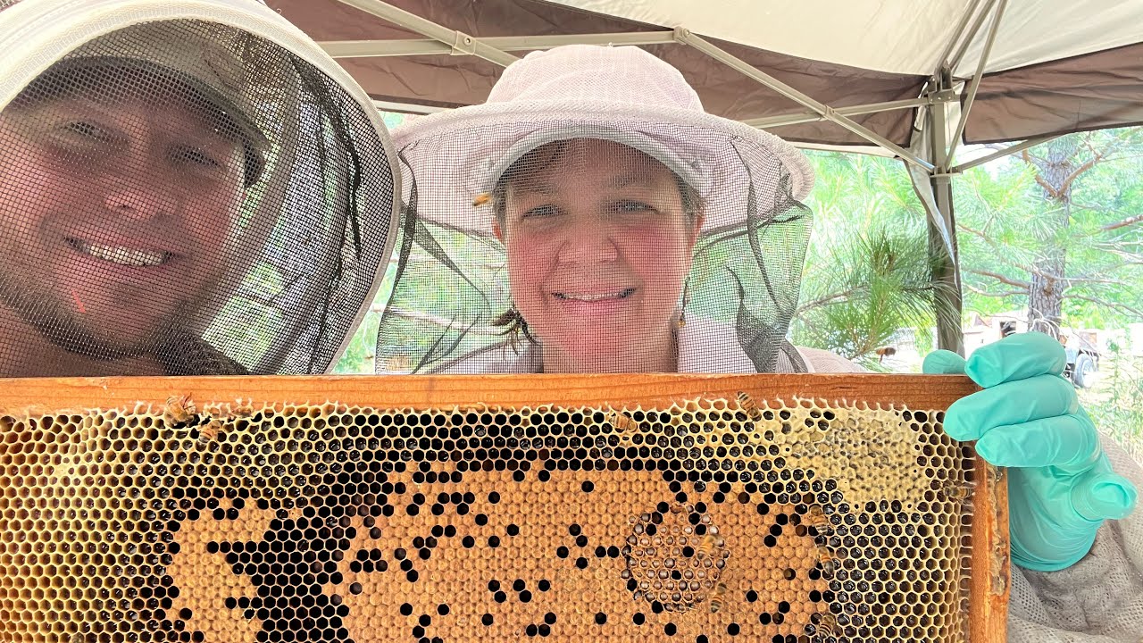 UBeeO testing @ Stevens Bee Co