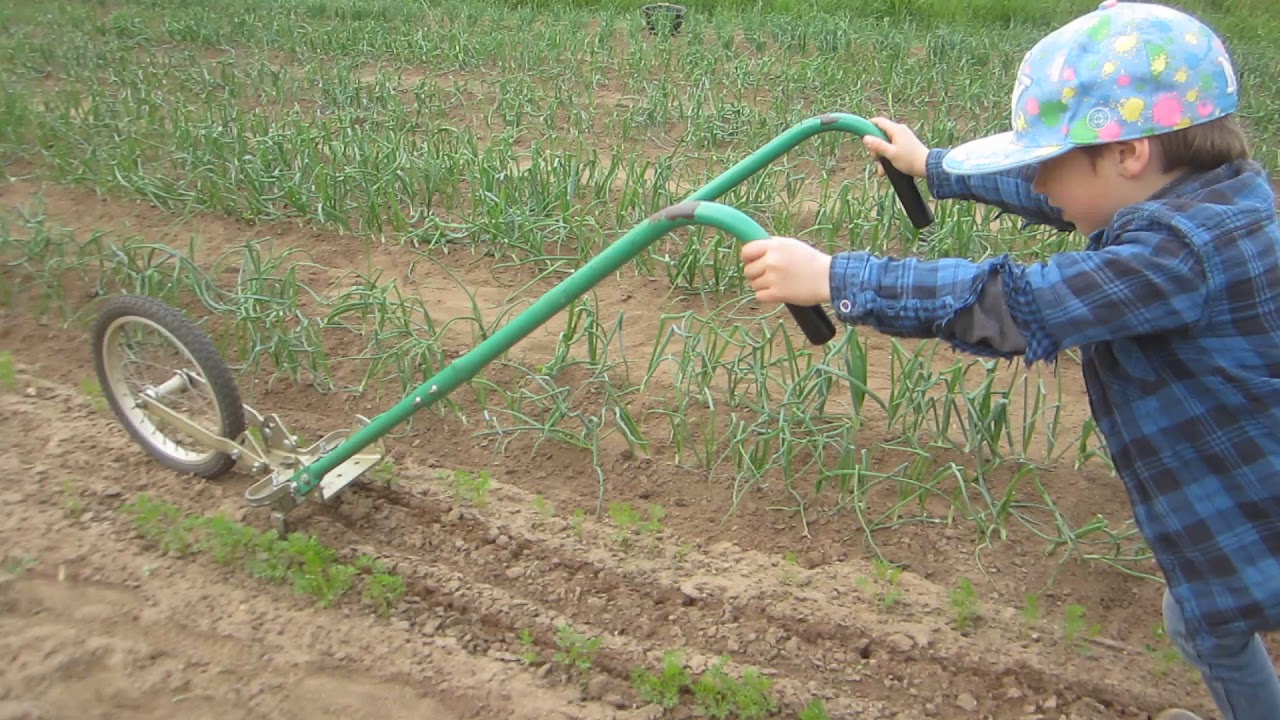 D&eacute;sherbage Sarclage Houe mara&icirc;ch&egrave;re Cultivateur