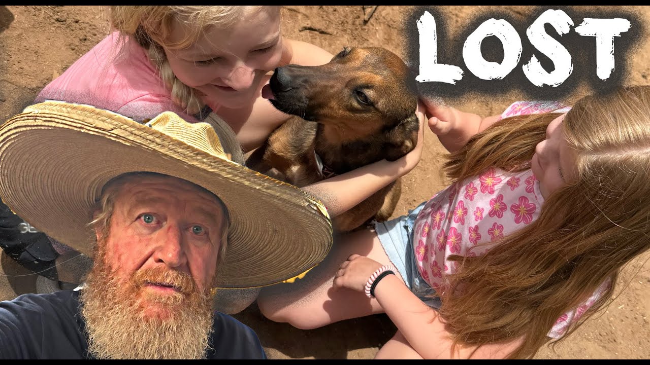 LOST DOG .. searching