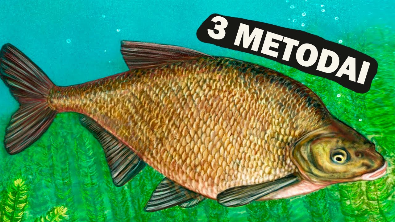 Kar&scaron;is atkeliauja pas jus 3 priėjimais! Kuris metodas bus geriausias kibimui?