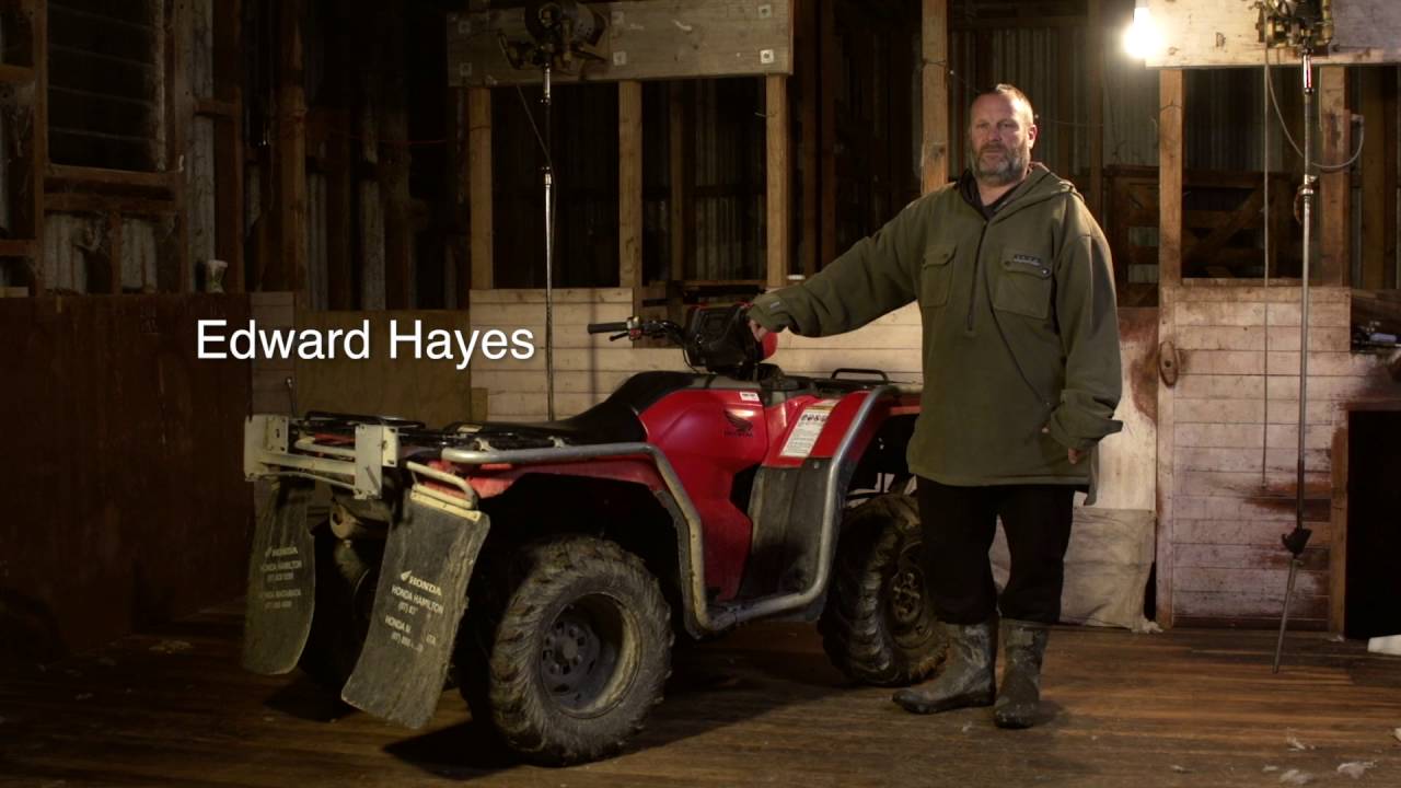 Honda Stories - Edward Hayes