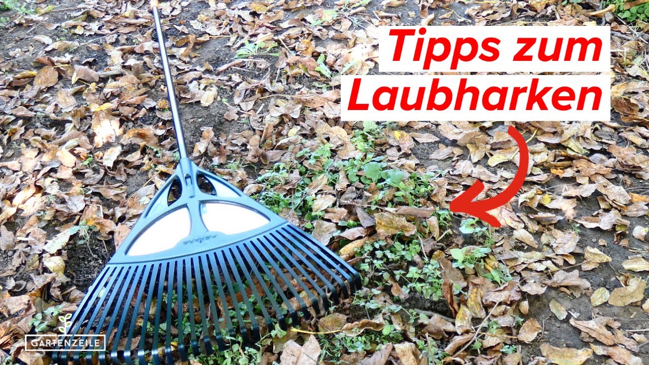 N&uuml;tzliche Tipps zum Laubharken -  So ersparst du dir viel Arbeit!