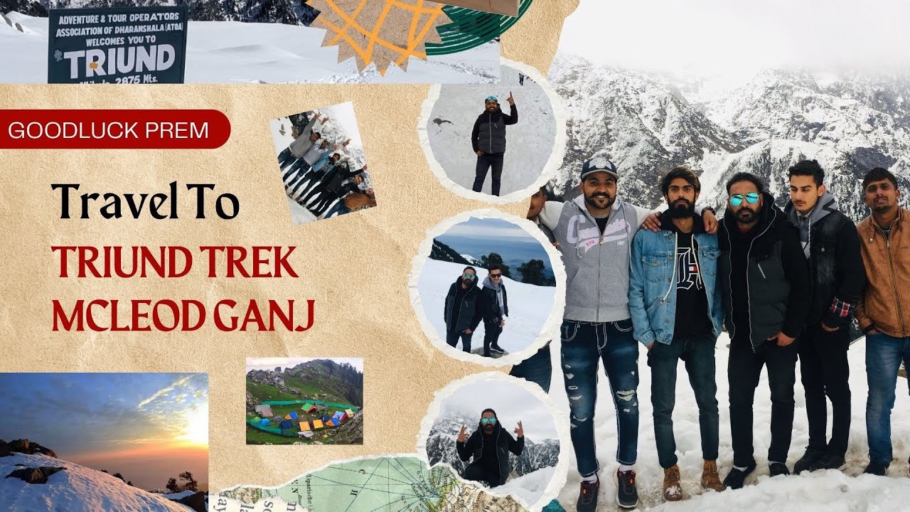 Mcleod Ganj Triund Trek with friends Full enjoy the Beauty of Himachal Pardesh