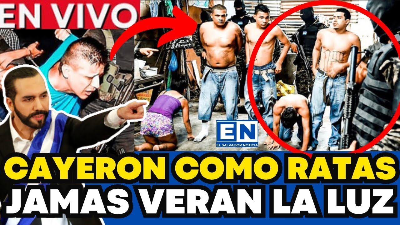 ¡ULTIMA HORA! BUKELE CAPTURA RED DE ESTAFADORES  EN EL SALVADOR ¡TODOS AL CECOT!