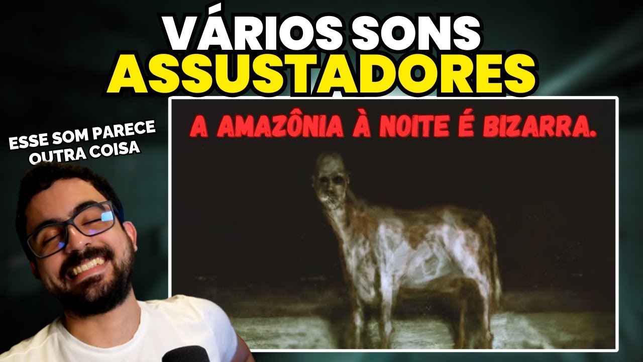 A Floresta Amazônica à Noite se Transforma no OCOLAST
