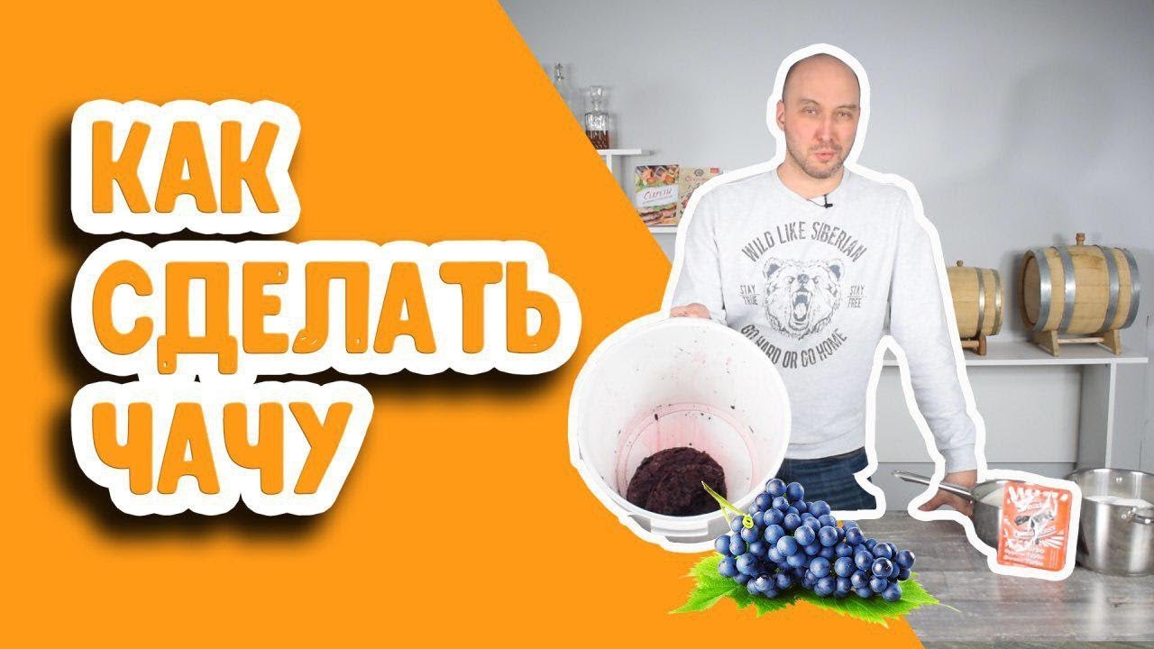 Как сделать чачу? Чача из винограда в домашних условиях