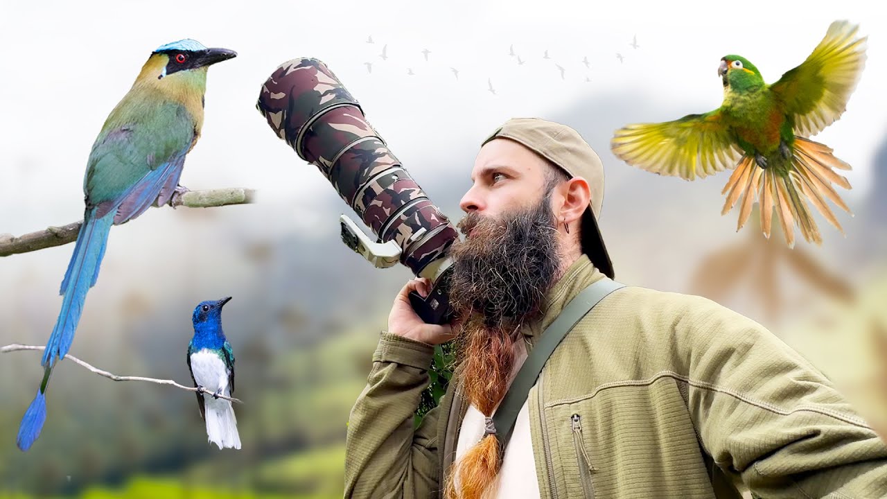 ¿Es de verdad Colombia un paraíso de las aves? 🦜