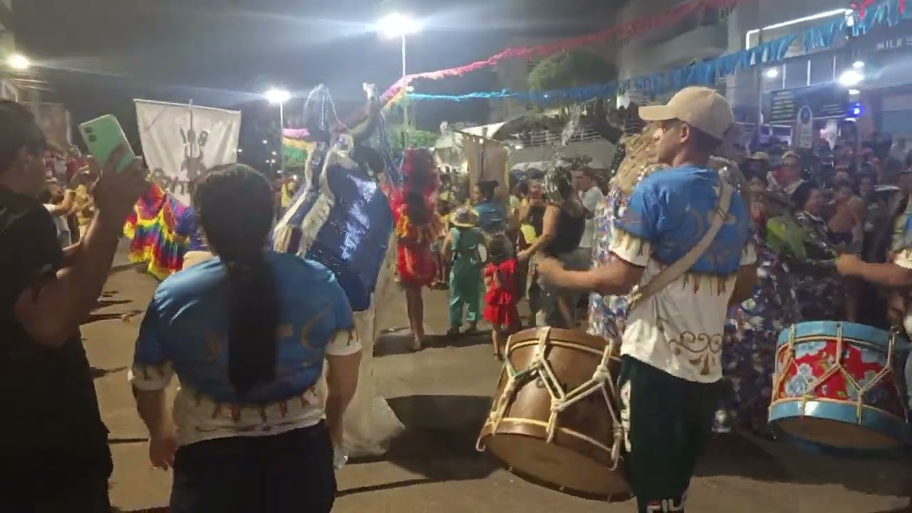 Boi fantástico no cortejo Zé Pereira 2026 , realizado no dia 14/02/2026