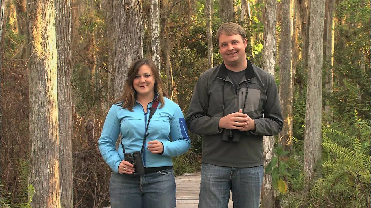 Inside Birding: Habitat