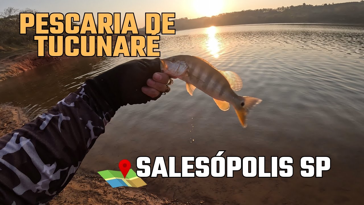 Quando Achei Que Não Ia Dar Nada… Salesópolis Surpreendeu no Final! 🎣