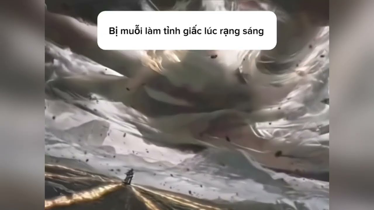 Khi Bạn Bị Muỗi L&agrave;m Tỉnh Giấc L&uacute;c Rạng S&aacute;ng | Queen Cat