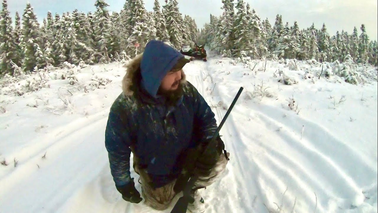 Alaska Wolf Trapping S.3 - Ep.4 Hot Tracks and Cold Steel