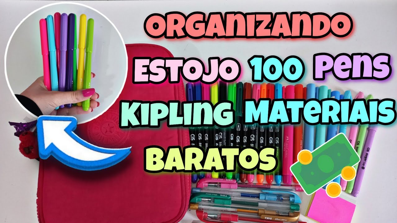 ORGANIZANDO MEU ESTOJO 100 PENS DA KIPLING COM MATERIAIS BARATOS | Ficou bom?