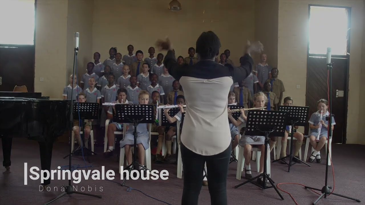 Springvale house Windstars program