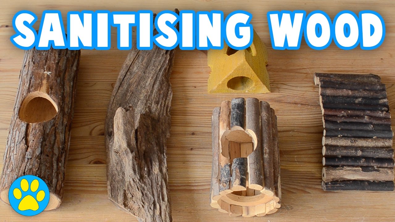 How To Clean Wooden Pet Supplies