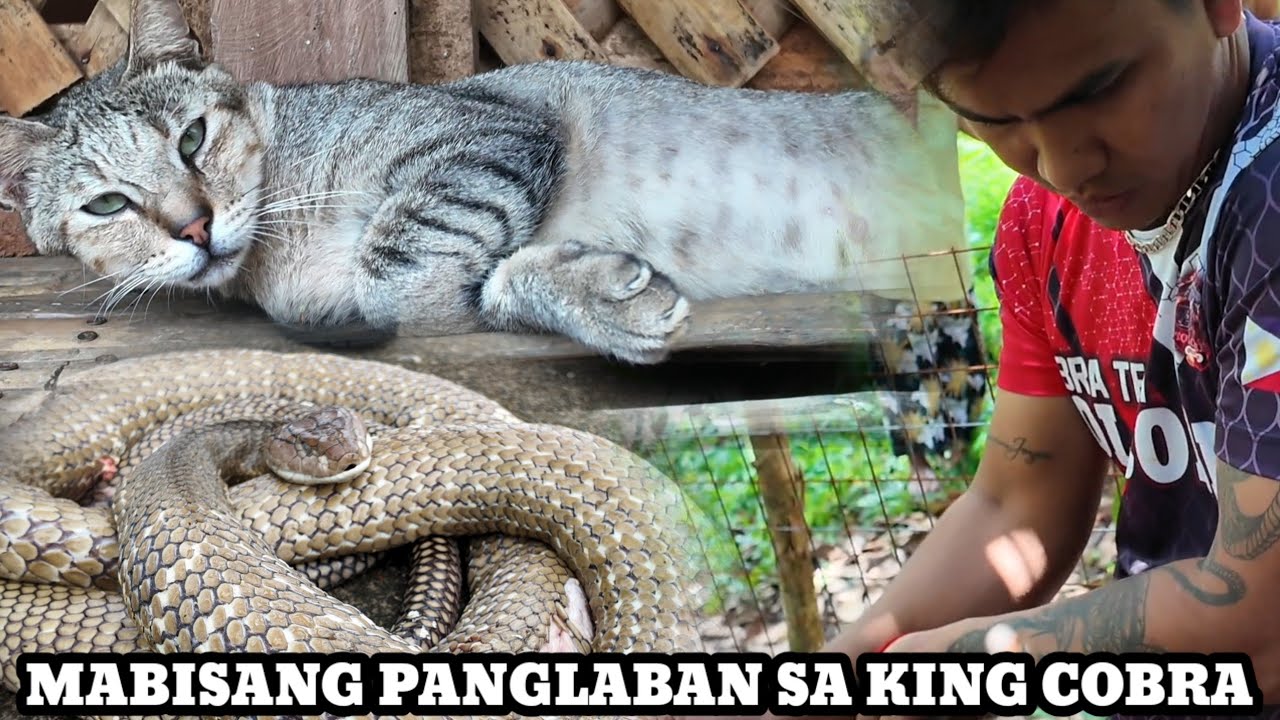 MGA BUHAY INALAY PARA SA AMO | ITINAYA ANG BUHAY DAHIL SA PAG MAMAHAL