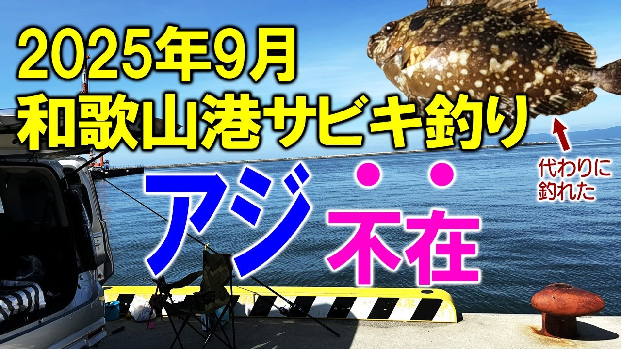 【和歌山　釣り】和歌山港車直付け快適サビキ！アジ不在でも美味しい魚をゲット！