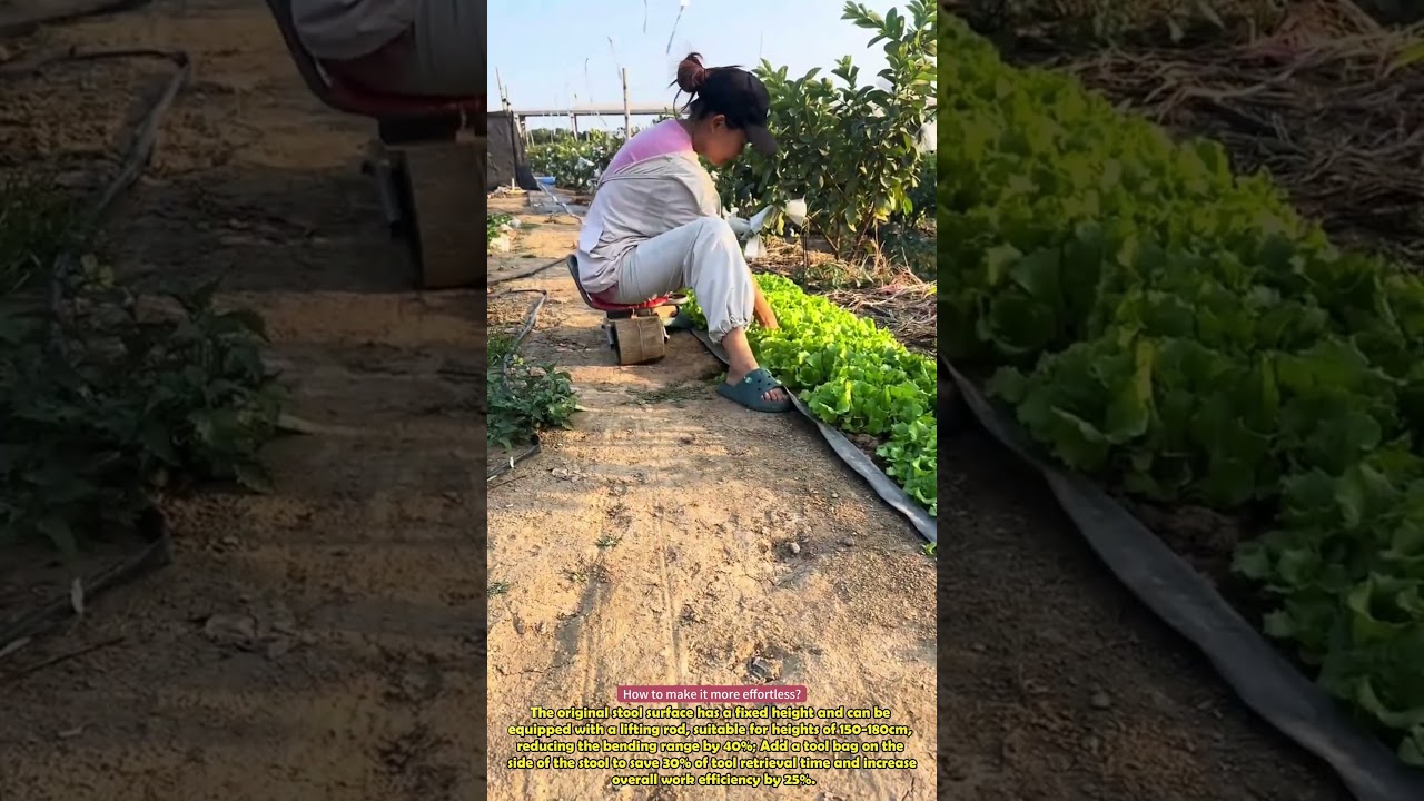 Rolling the lazy stool, planting vegetables without expending waist #wonder #clever #practical #diy