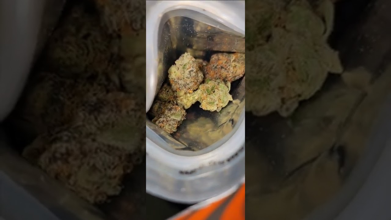 ExoticPack Boy$ - 7 leaves 