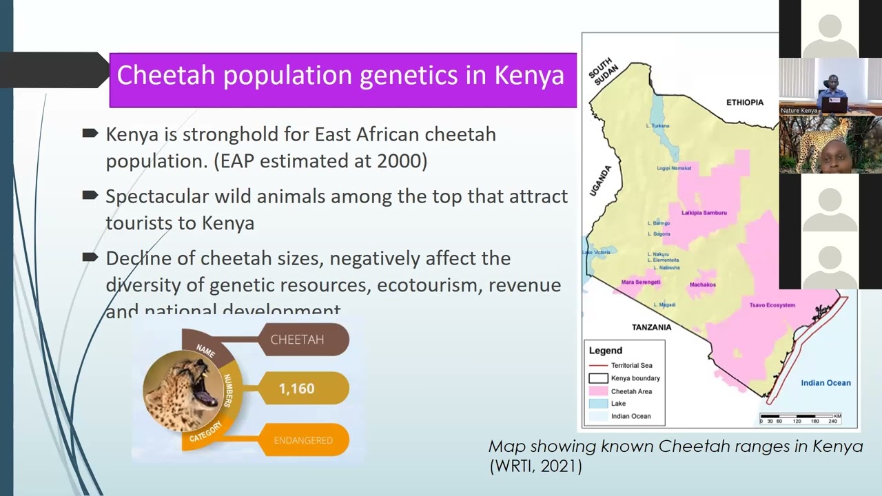 Protecting Endangered Species through the Lens of Science and Technology