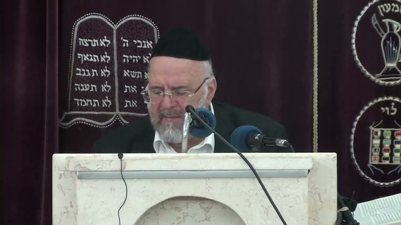 פרשת כי תצא תשפ