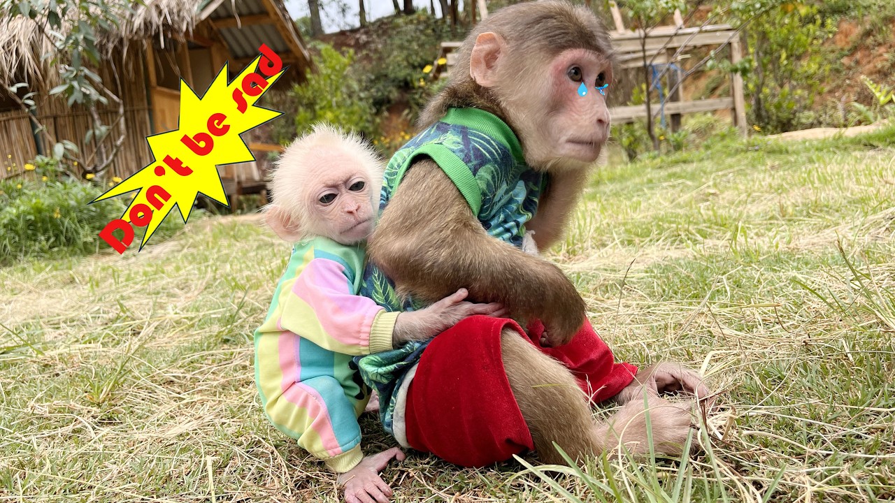 Max feeling lonely in his House 😭 Do You still Love Max, Dad 🥲🥲🥲