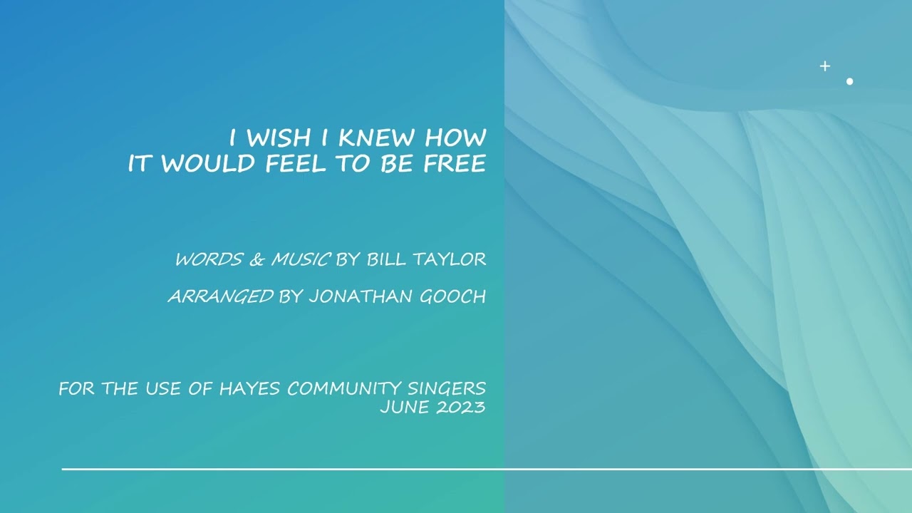 I wish I knew how it would feel to be free