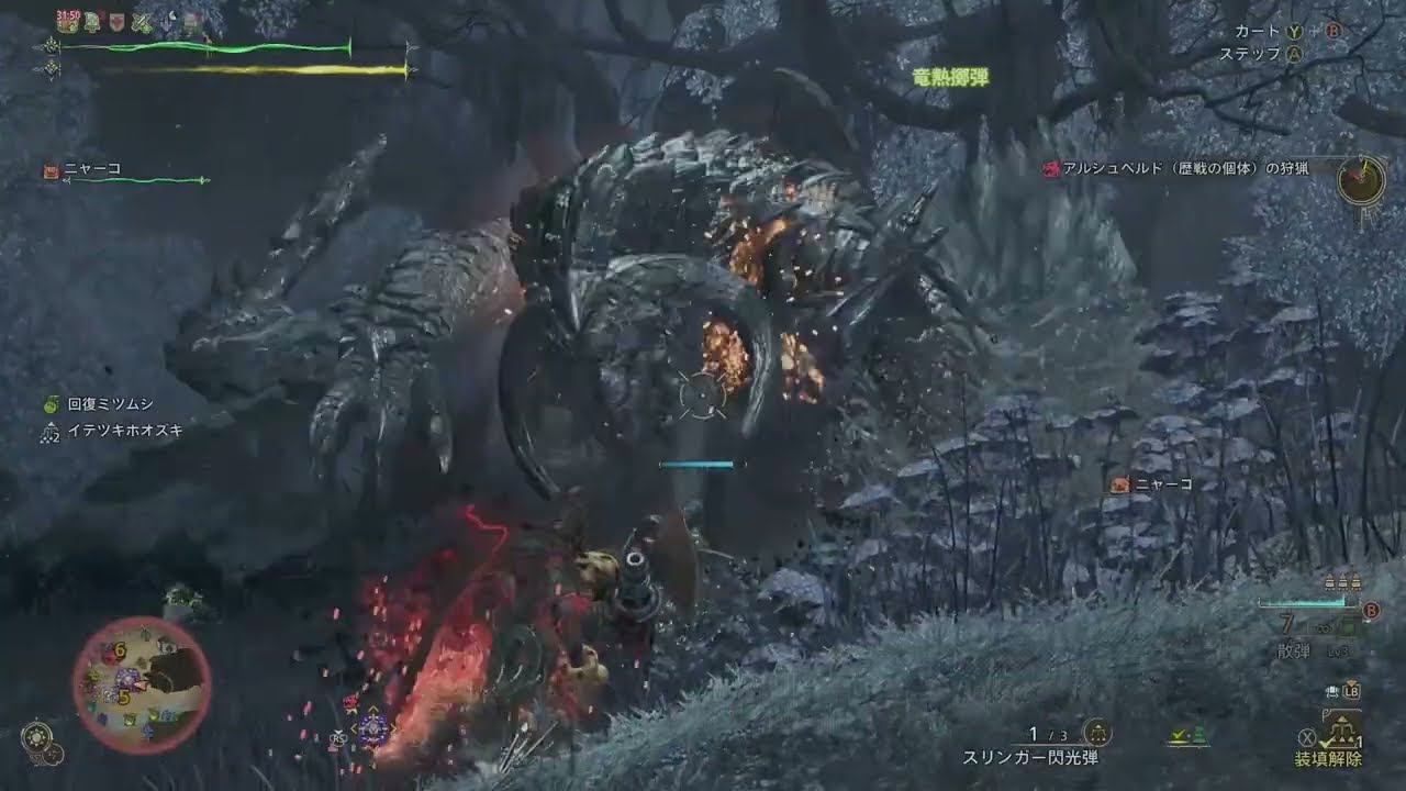 【MHWilds フリークエスト】狩猟演習　歴戦アルシュベルド　ソロ　ヘビィボウガン