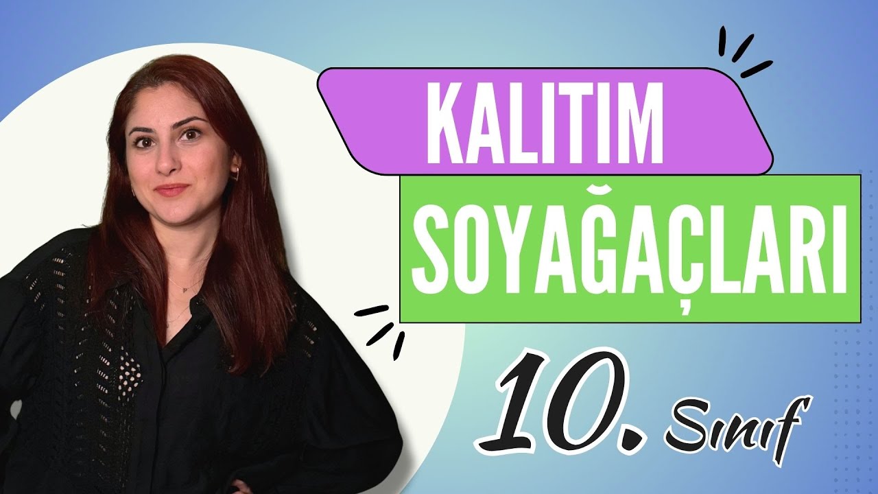 13) SOYAĞAÇLARI - KALITIM 6 | 10. SINIF | TYT BİYOLOJİ DERS NOTLARI | 2024