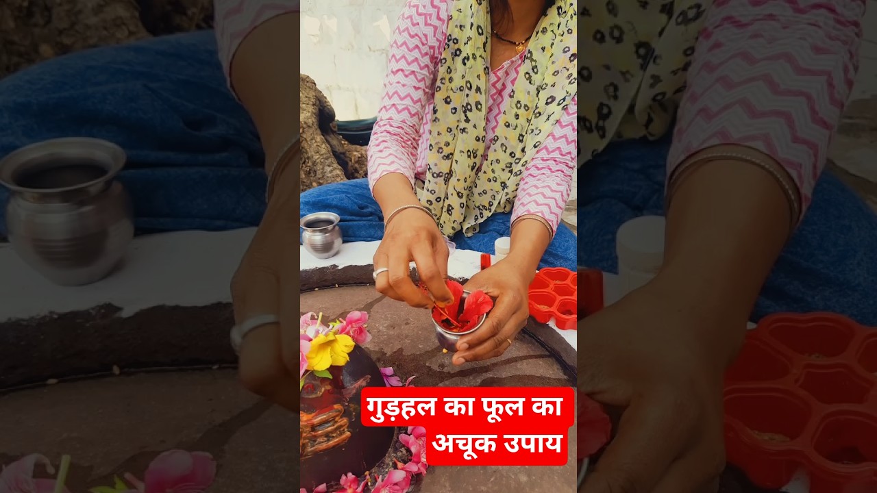 गुड़हल का फूल का अचूक उपाय # upay#pradeepmishraji #चैत्रमास