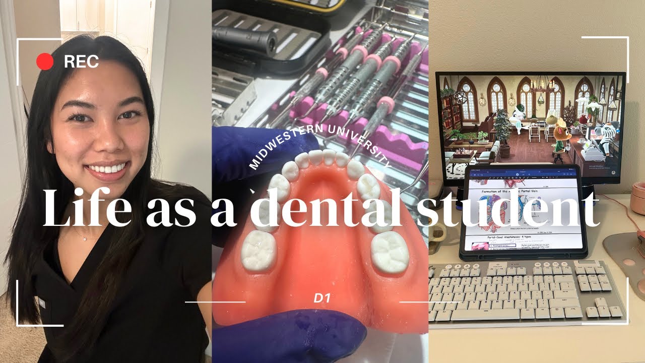 Life as a D1 dental student