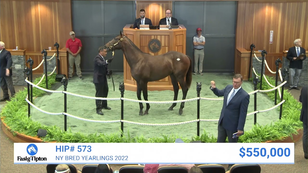 Arrogate colt sells for sale record $700,000 at New York Bred Yearlings (2022)