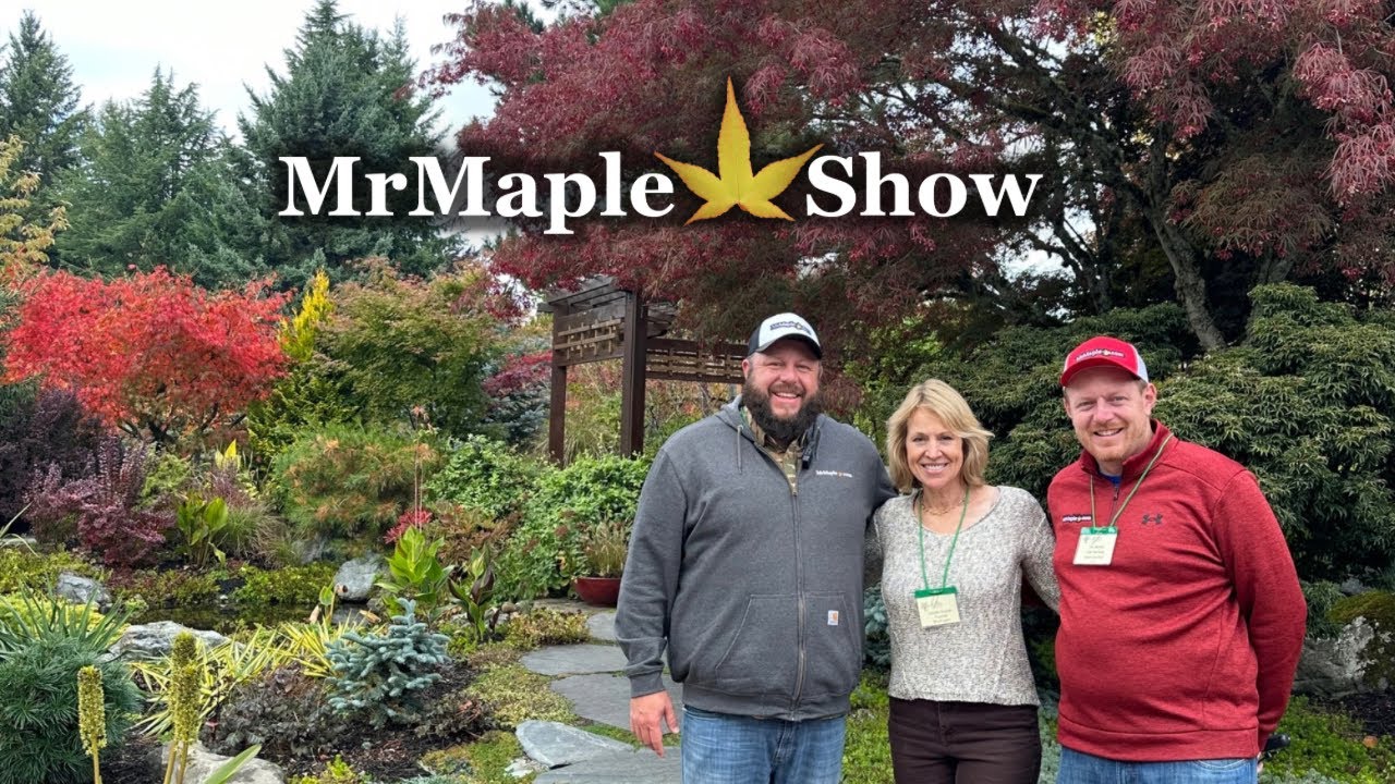 Astonishing Japanese Maple & Conifer Garden Tour! Camille Paulsen of @TahomaFlora on Instagram