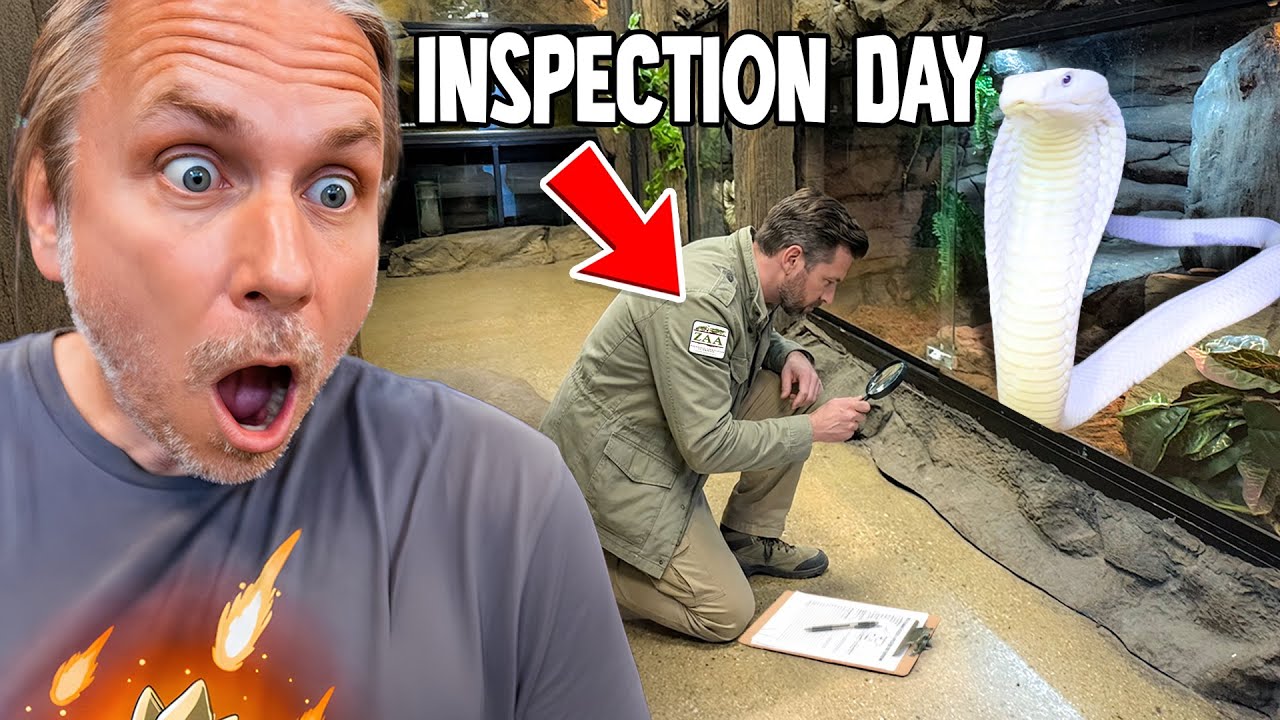 THEY’RE INSPECTING OUR ZOO… This Decides EVERYTHING!
