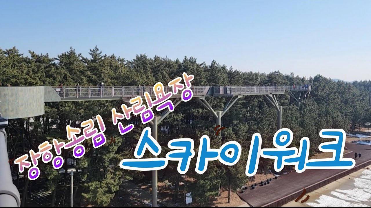 땅길과 하늘길을 모두 걷는다. 장항 스카이워크. 어린이와 함께 가면 유익한 국립 생태원 탐방기.