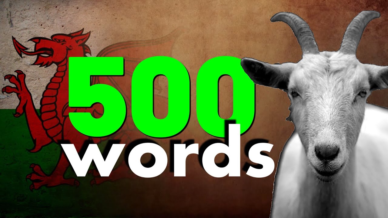 500 Common WELSH Language Words to get going!