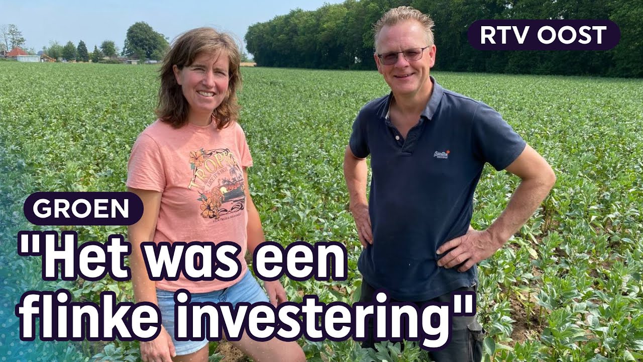 Melkveehouder Nico test druppel-irrigatie op paar hectare veldbonen | RTV Oost