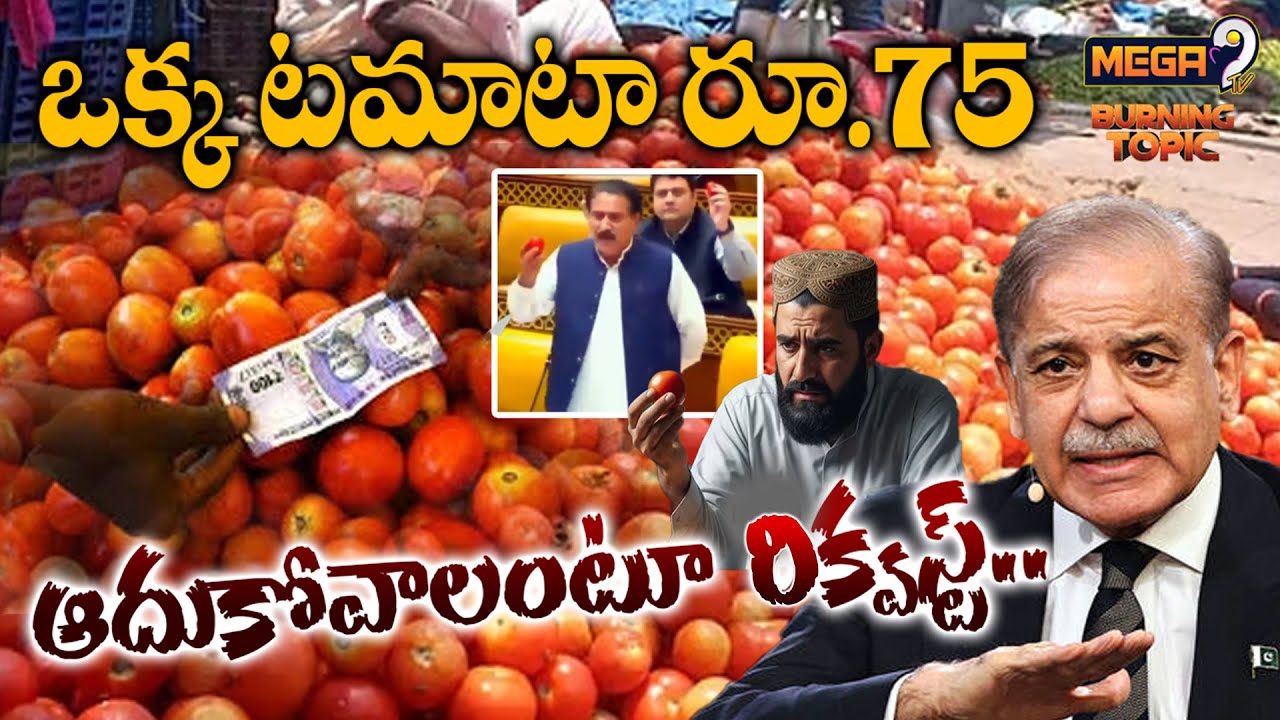 Tomato Crisis in Pakistan | పాకిస్తాన్‌లో ఒక్క టమాటా ఖరీదు రూ.75.. | Mega9tv