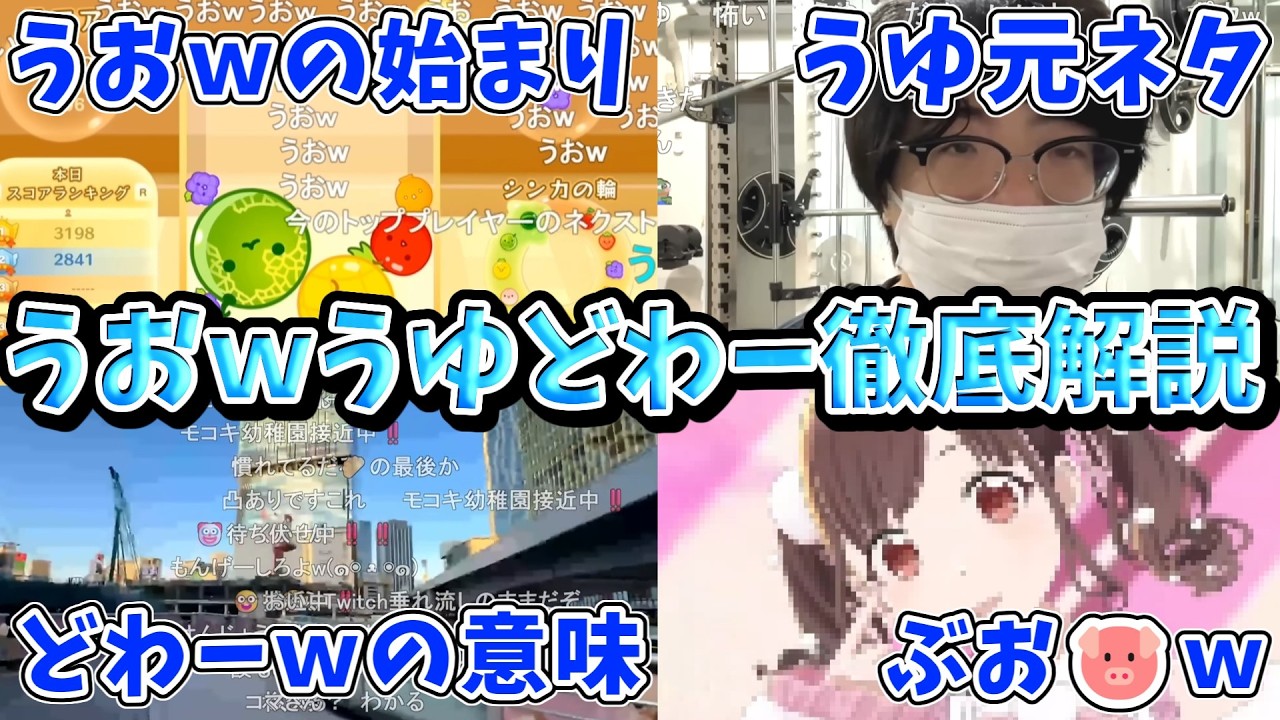 もこうが生み出したうおwどわーwうゆ👈全ての元ネタや使いどころ、ぶお🐷ｗが派生して生まれた歴史を徹底解説！！【もこう先生/最後の餃子】【痴漢界隈/切り抜き】