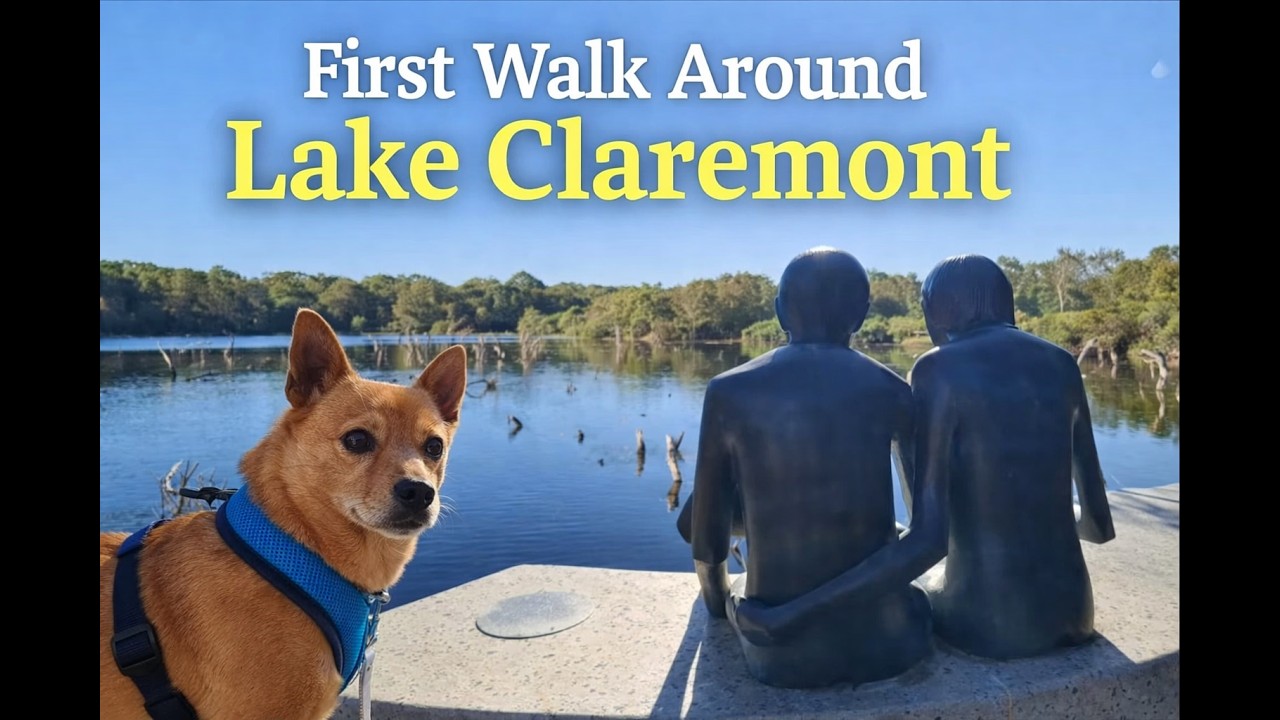 First Walk Around Lake Claremont. Quiet Nature Escape in Perth (Australia) with Chiqui the dog