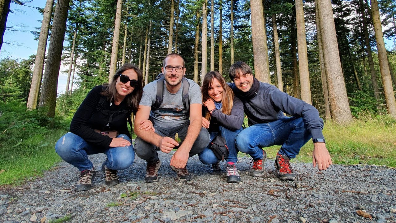 VIAGGIO IN IRLANDA: NELLA FORESTA DEGLI ESTRANEI