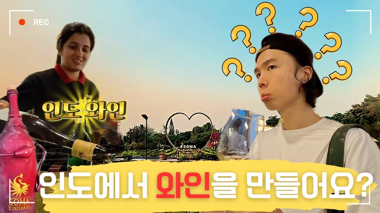 [7] 와인을 먹으러 인도까지 간 사람이 있다...? 🇮🇳 | ft. 인도 나시크 지방의 'SOMA Winery'