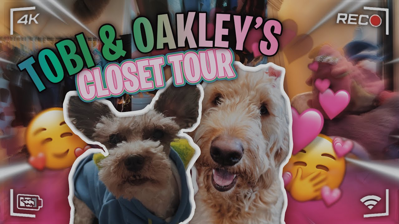 TOBI & OAKLEY'S CLOSET TOUR (dog clothes, accessories, etc) | Duhdxni