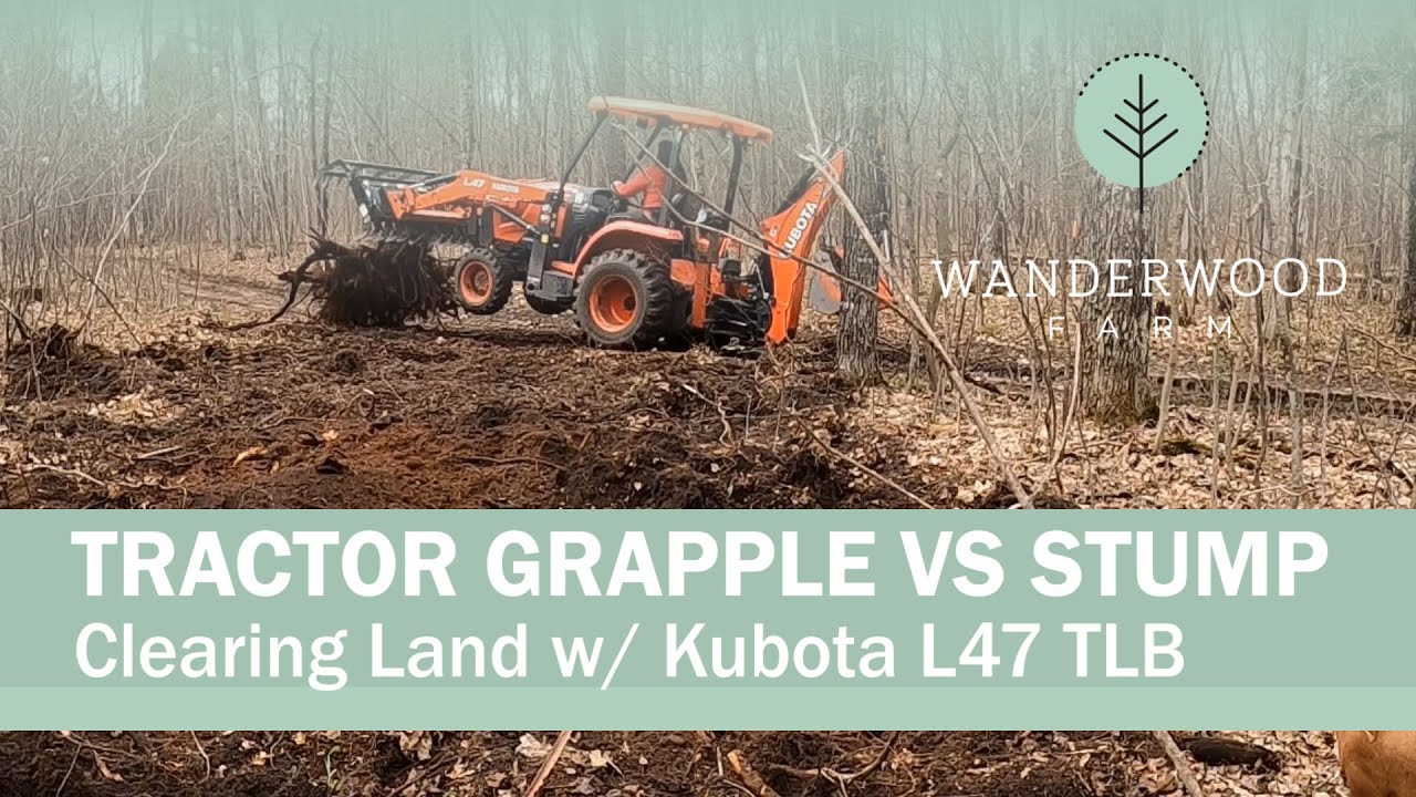 Who wins: Trees/stumps vs Kubota L47 TLB? (004)