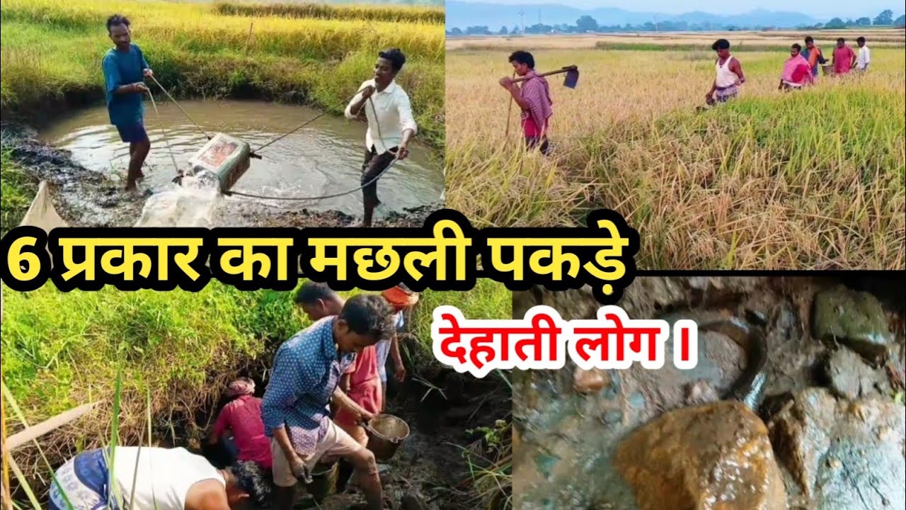 6 प्रकार का मछली पकड़े  | देहाती लोग | 