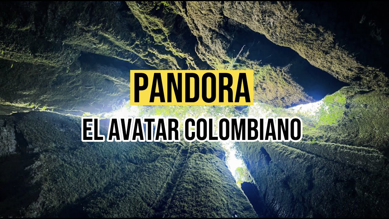 BOSQUES de PANDORA el llamado AVATAR COLOMBIANO en la Reserva Peñas Blancas en el Peñon, Santander!!
